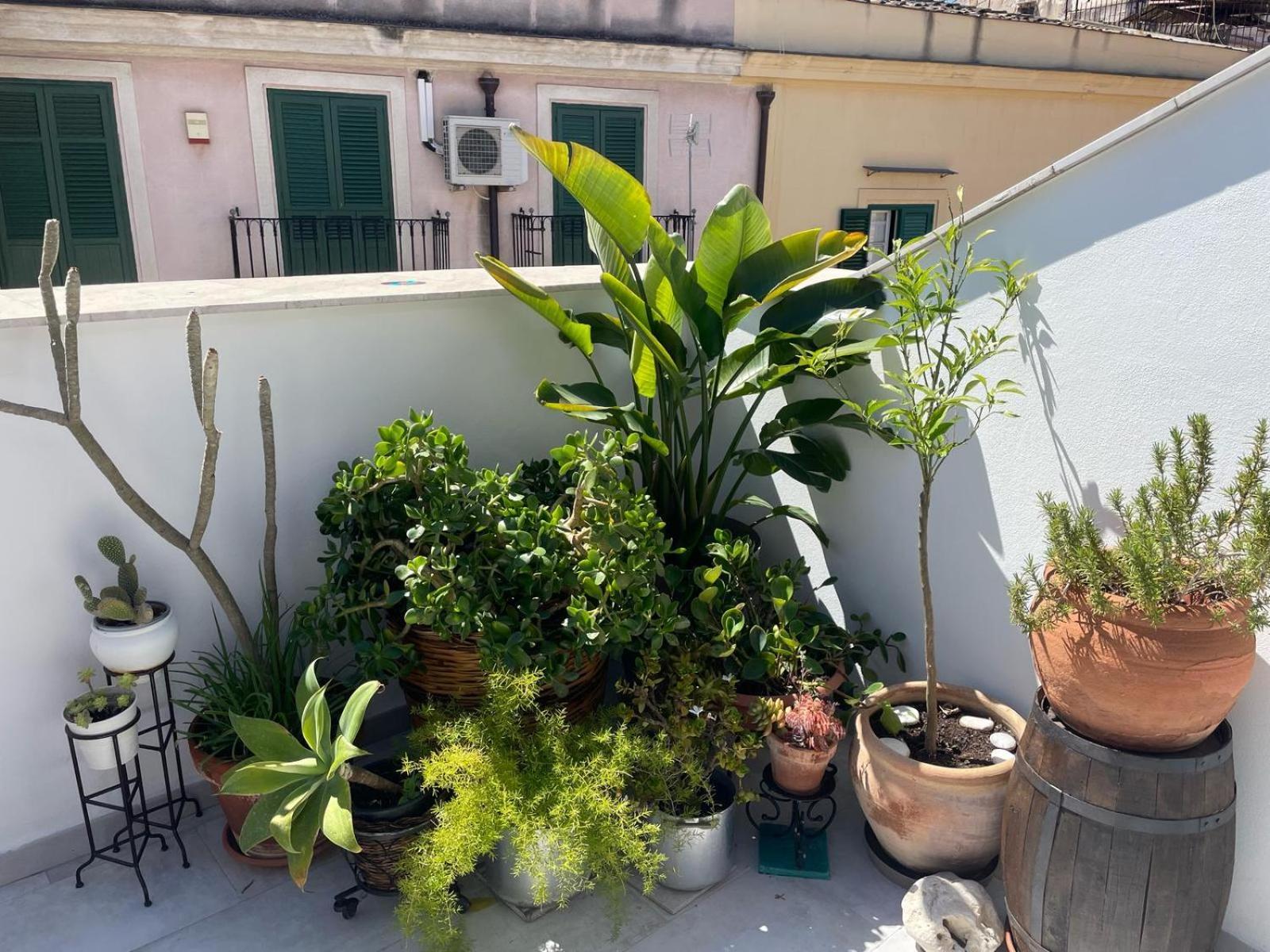 Terrazza Alla Cala Palermo Kültér fotó